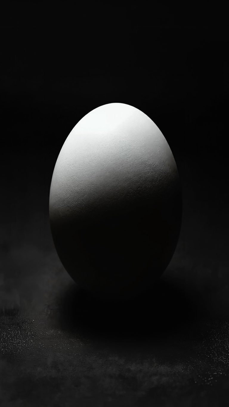 SL80A Teaser 2